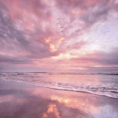 皇冠APP官方版下载安装手机app下载